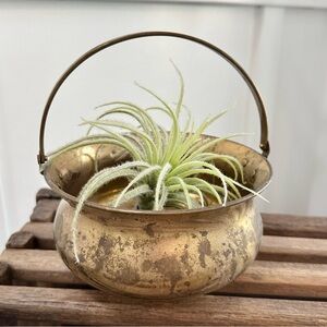 Vintage Heavy Solid Brass Basket Pot Planter with Handle Made in India Cauldron
